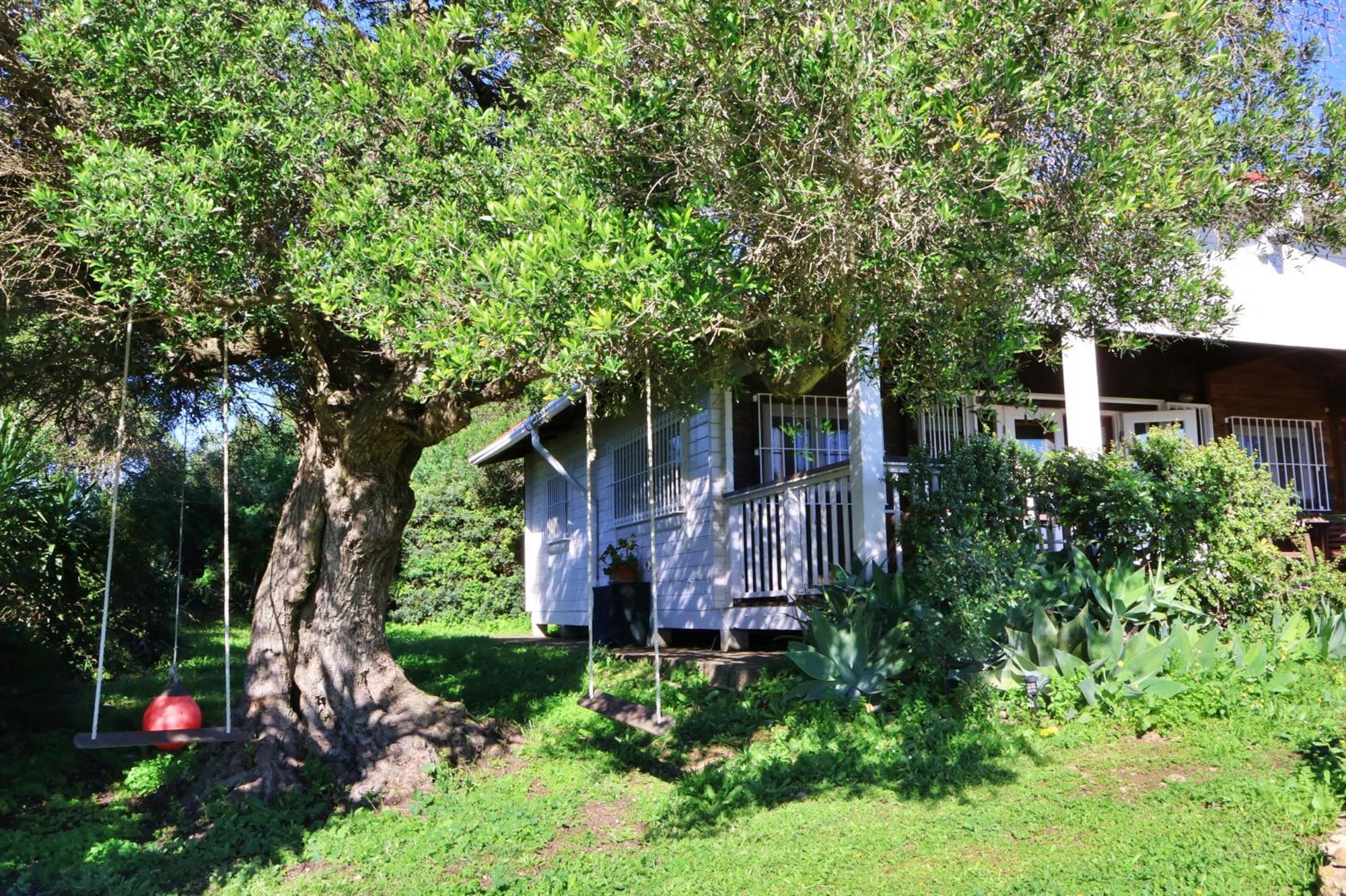 La Zarzamora Country house *