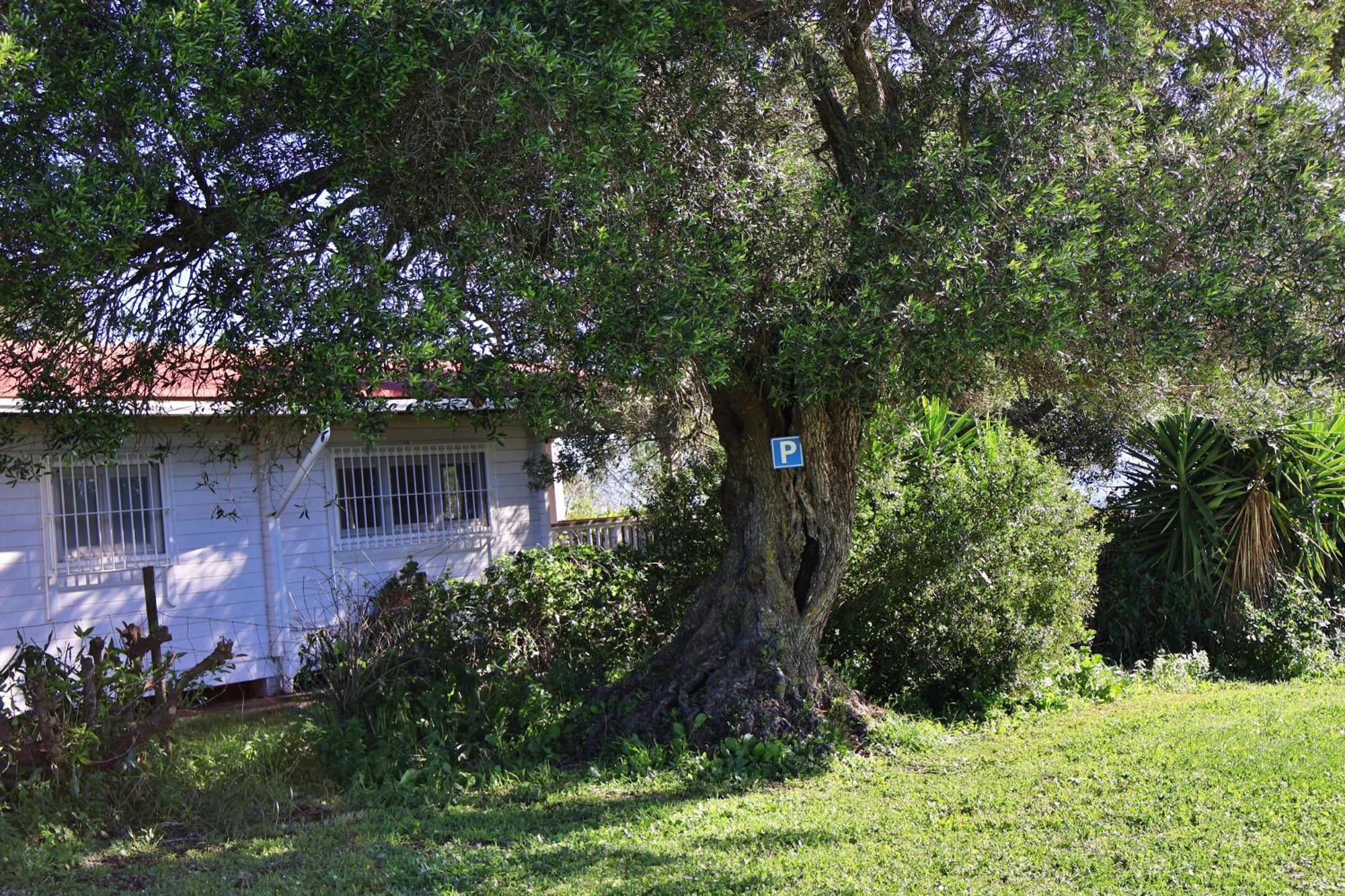 La Zarzamora Landhaus Vejer de la Frontera